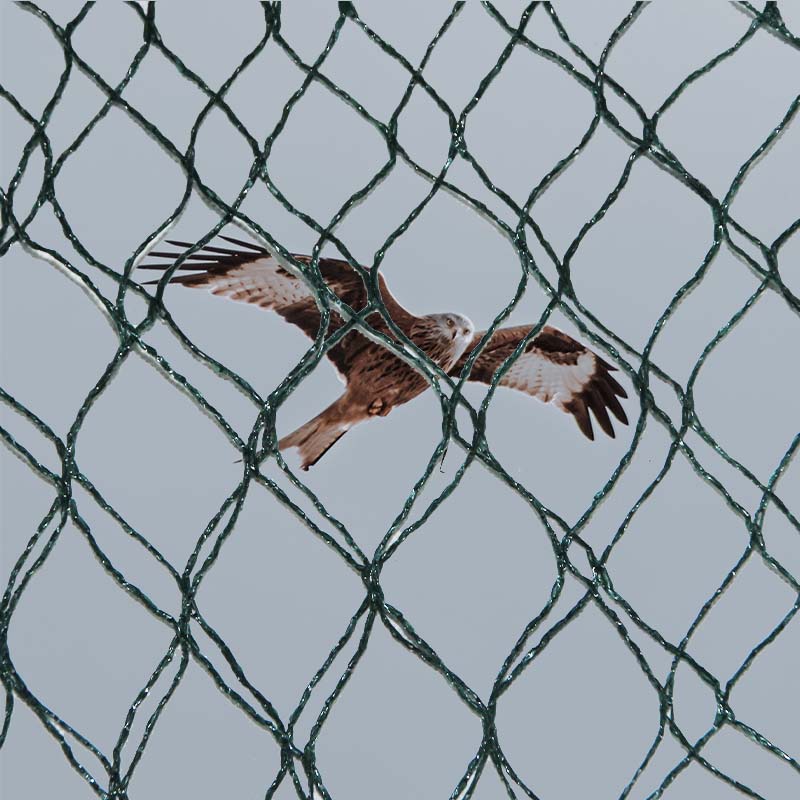 What are the material choices and advantages and disadvantages of bird prevention nets?