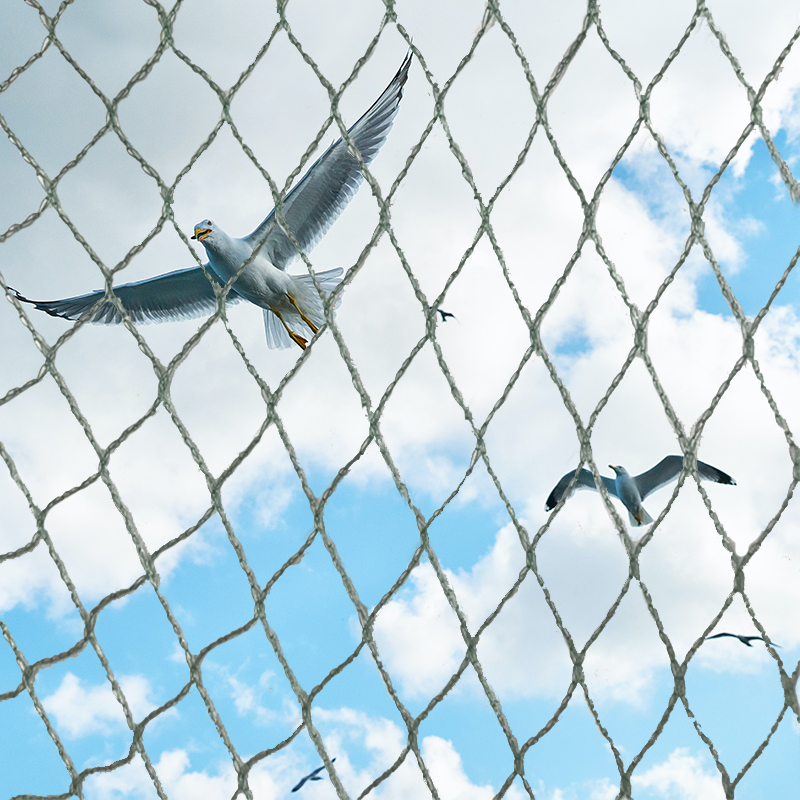 Why Choose Our Bird Netting?