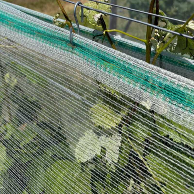 Agriculture HDPE Anti-Hail Netting