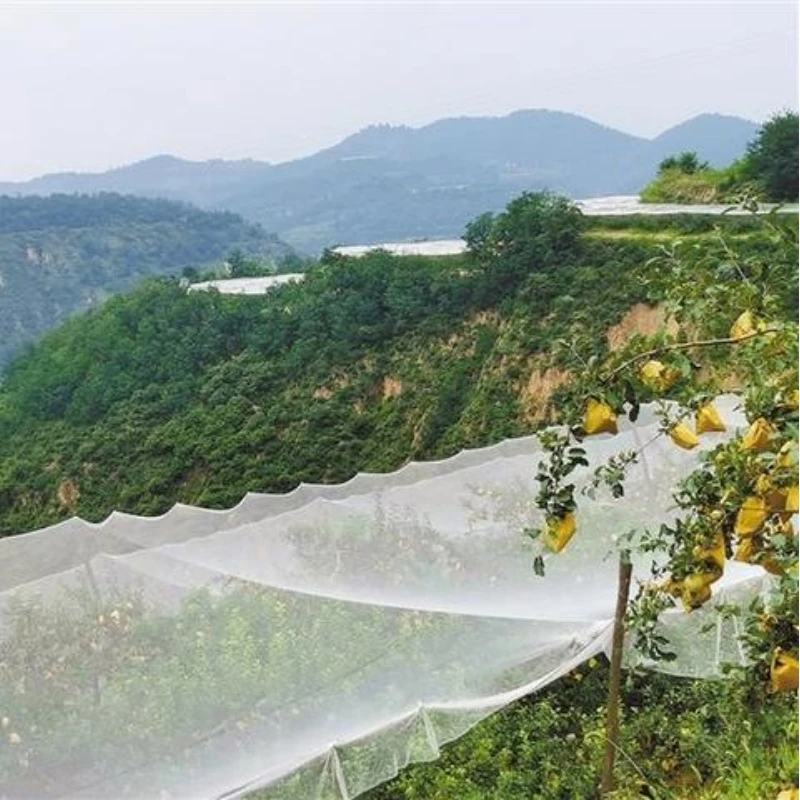 Anti Hail Protection Nets for Apple Trees